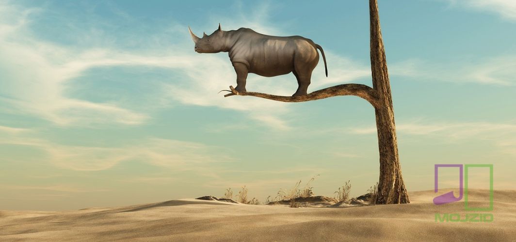 Lonely rhino on tree